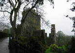 24809-24812 View of Blarney Castle and Round lookout tower.jpg